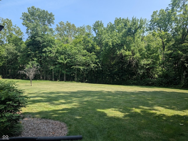 8017 Dogwood Ct, Plainfield, IN 46168 - view of green lawn