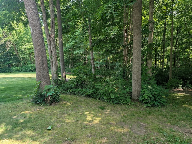 8017 Dogwood Ct, Plainfield, IN 46168 - view of grassy yard with a view of trees