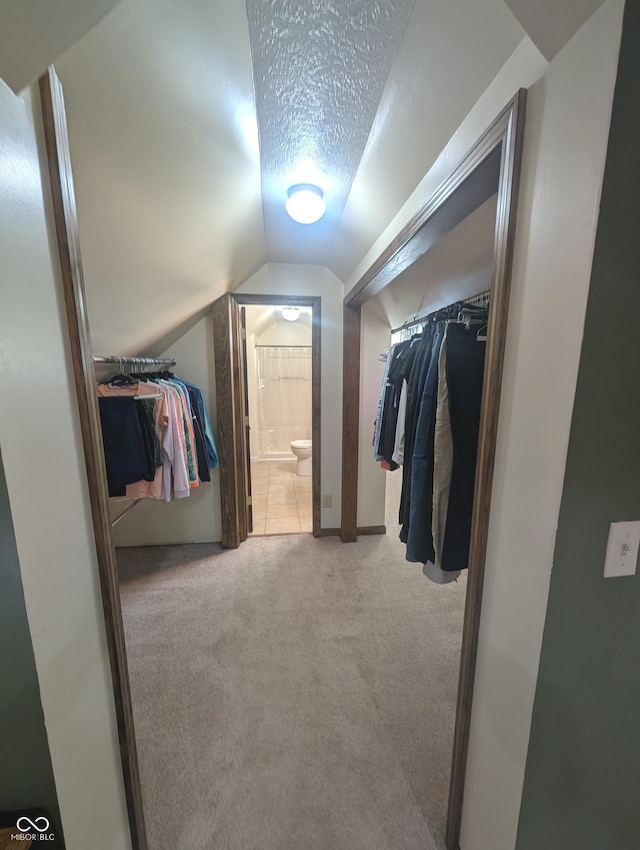 8017 Dogwood Ct, Plainfield, IN 46168 - spacious closet with carpet and lofted ceiling