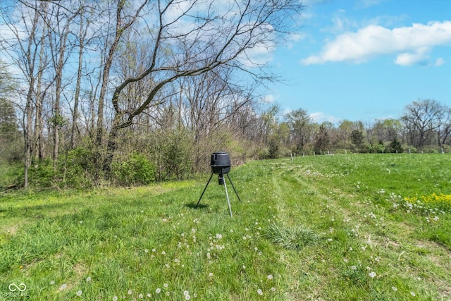3718 S County Road 101 E, Clayton, IN 46118 - photo 62