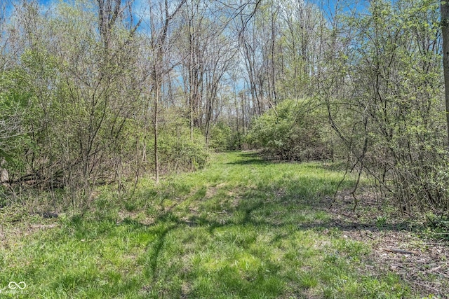 3718 S County Road 101 E, Clayton, IN 46118 - photo 63