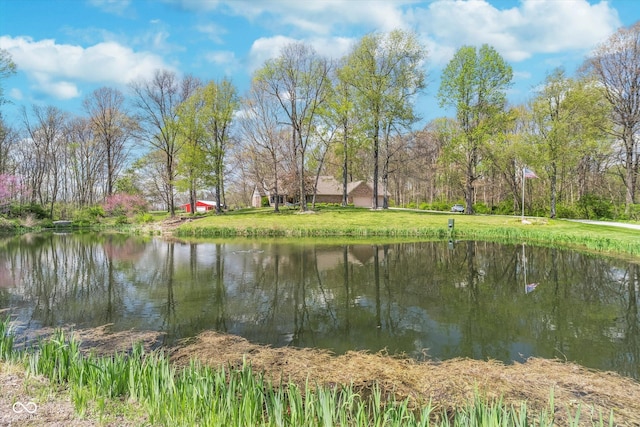 3718 S County Road 101 E, Clayton, IN 46118 - photo 11