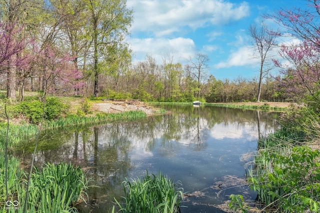 3718 S County Road 101 E, Clayton, IN 46118 - photo 12