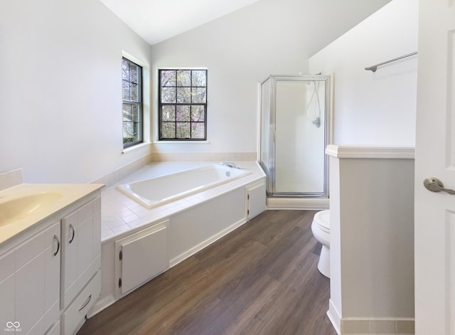 9162 Hadway Dr, Indianapolis, IN 46256 - bathroom featuring a shower stall, lofted ceiling, wood finished floors, vanity, and a garden tub