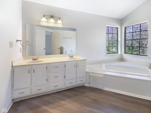 9162 Hadway Dr, Indianapolis, IN 46256 - bathroom with a garden tub, wood finished floors, a sink, and double vanity