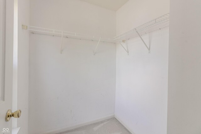 spacious closet featuring light carpet