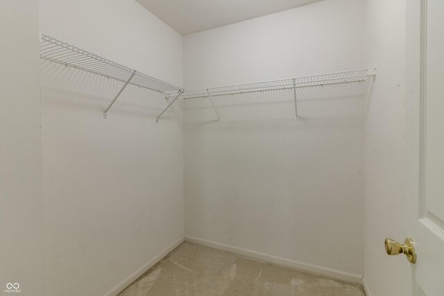 spacious closet featuring light carpet