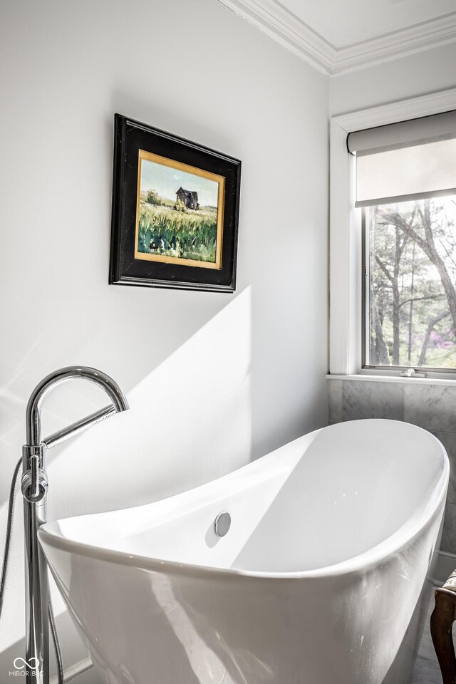 full bath with crown molding and a freestanding tub