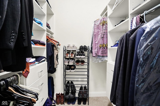 walk in closet with carpet floors