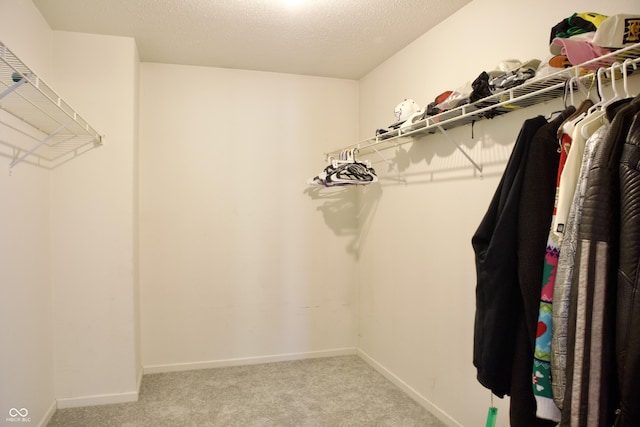 5236 Skipping Stone Dr, Indianapolis, IN 46237 - walk in closet featuring carpet flooring