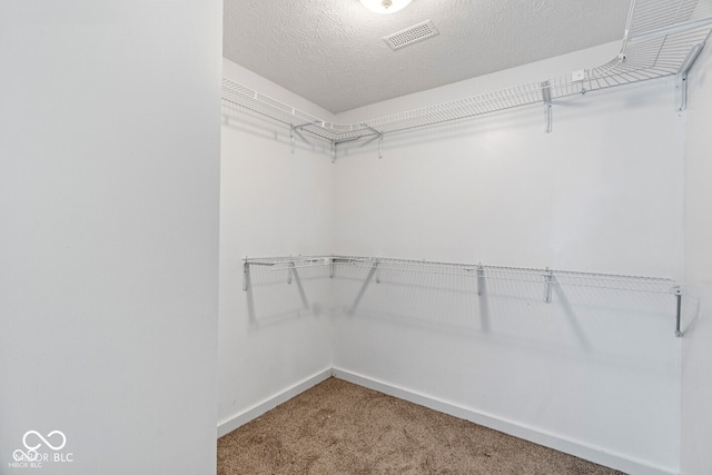 6519 Rothchild Blvd, Indianapolis, IN 46278 - spacious closet with visible vents and carpet