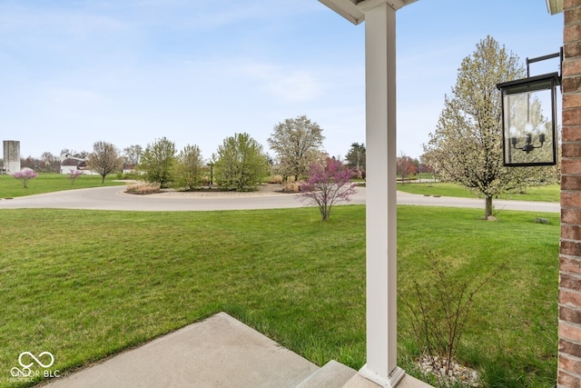 6519 Rothchild Blvd, Indianapolis, IN 46278 - view of yard