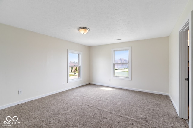 6519 Rothchild Blvd, Indianapolis, IN 46278 - unfurnished bedroom featuring baseboards, carpet floors, and multiple windows