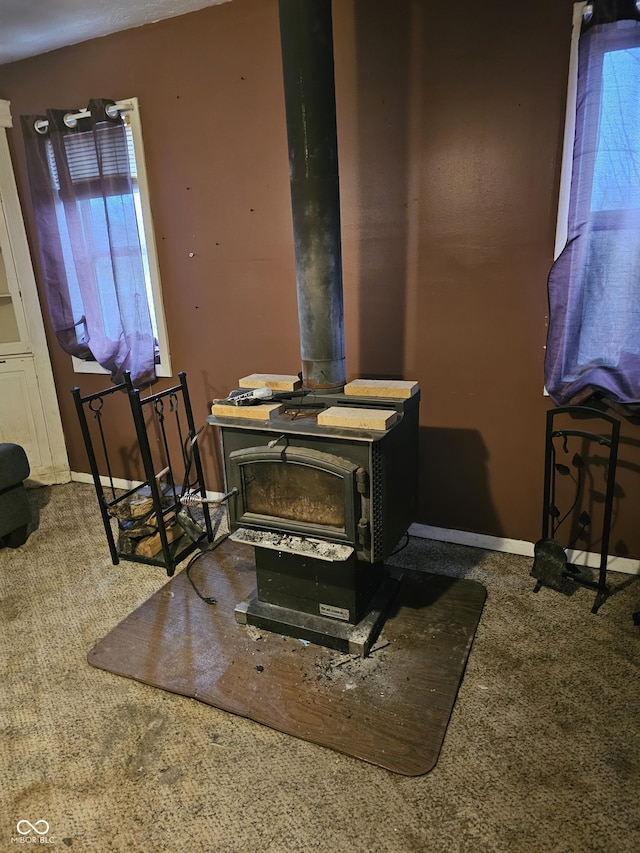 interior details featuring baseboards, carpet floors, and a wood stove