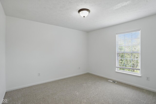 9318 Windrift Way, Zionsville, IN 46077 - photo 28