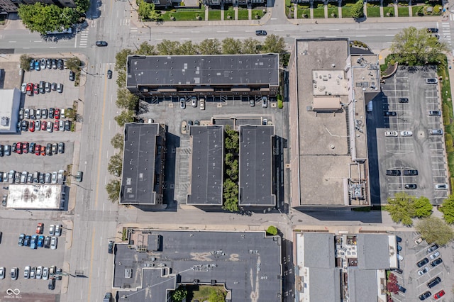 drone / aerial view