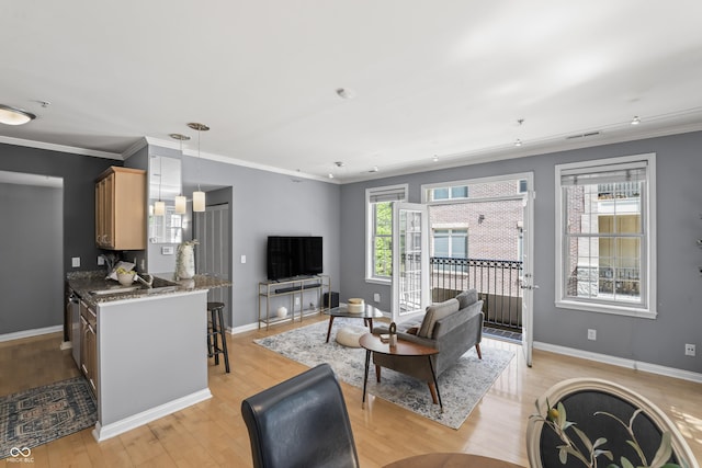 living area featuring crown molding, baseboards, and light wood finished floors