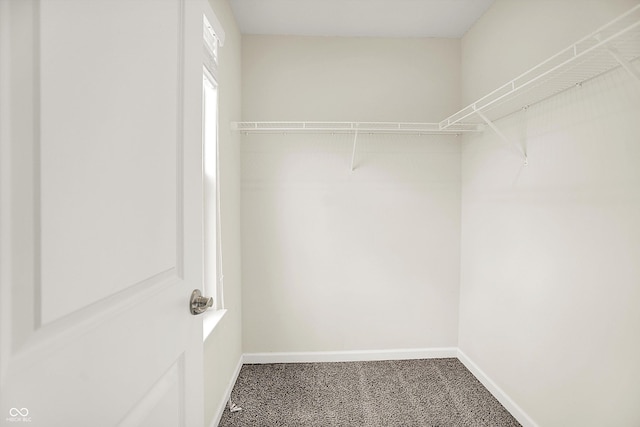 13567 Moorcroft Dr, Fishers, IN 46037 - view of spacious closet