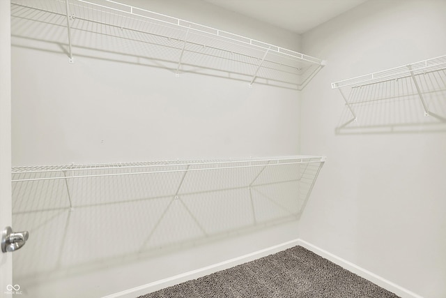 13567 Moorcroft Dr, Fishers, IN 46037 - spacious closet with carpet flooring