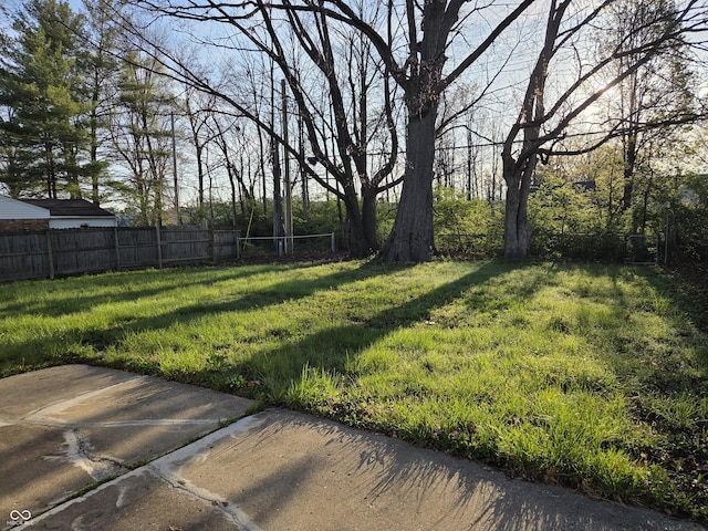 2465 N Eaton Ave, Indianapolis, IN 46219 - view of yard
