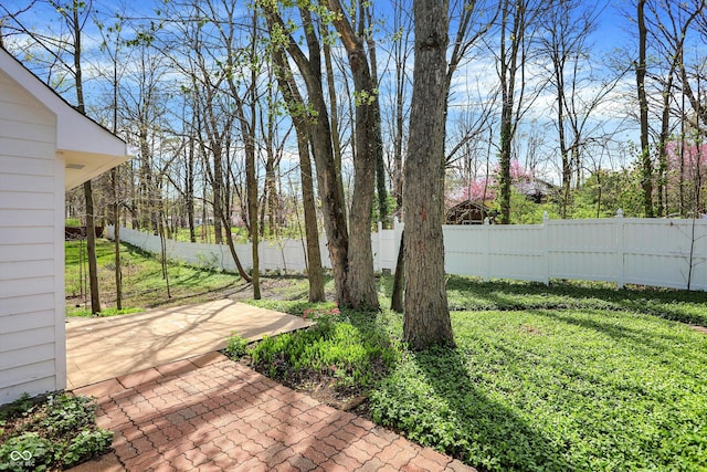 424 Orchard Blvd, Danville, IN 46122 - view of yard with a patio area and a fenced backyard