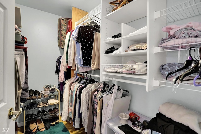 424 Orchard Blvd, Danville, IN 46122 - walk in closet with wood finished floors