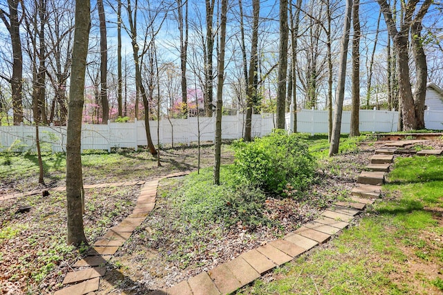 424 Orchard Blvd, Danville, IN 46122 - view of yard with fence