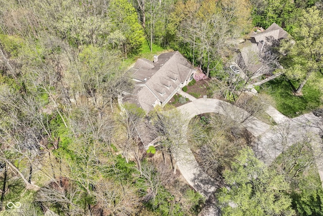 aerial view