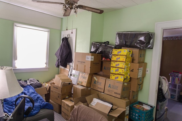 storage with ceiling fan