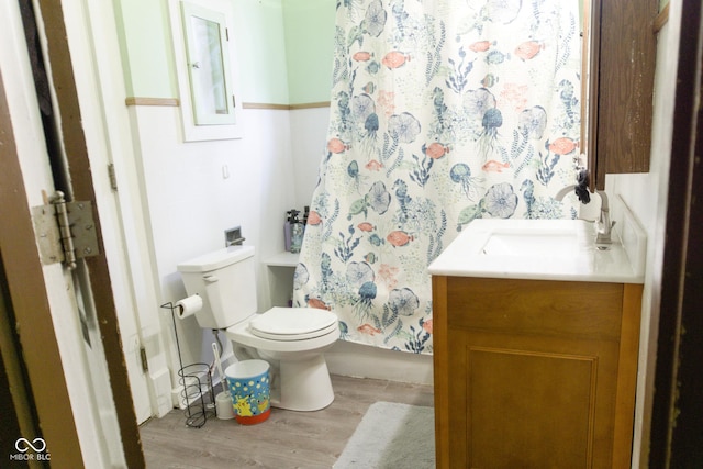 bathroom with wood finished floors, toilet, and vanity