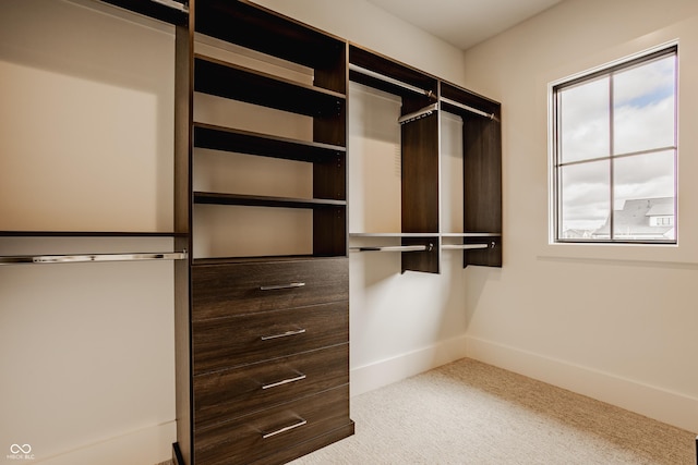 8082 Abington Way, Zionsville, IN 46077 - walk in closet featuring carpet floors