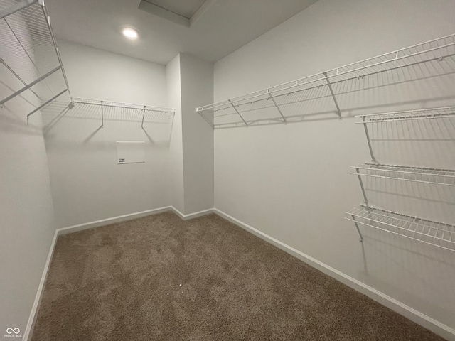 1319 Fleming Dr, Greenfield, IN 46140 - walk in closet featuring carpet floors and attic access
