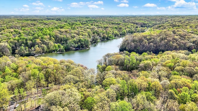 bird's eye view featuring a water view and a forest view