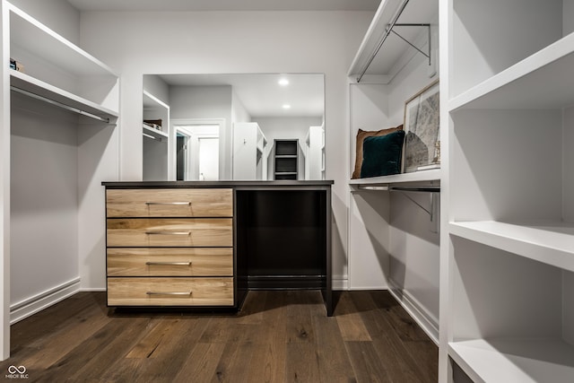 walk in closet with dark wood finished floors