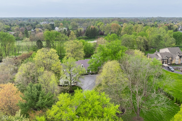 1995 W 116th St, Carmel, IN 46032 - bird's eye view