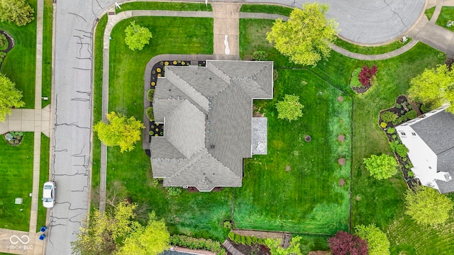 bird's eye view