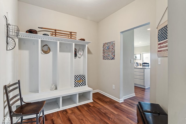 52 E 286th St, Atlanta, IN 46031 - mudroom featuring baseboards and dark wood finished floors