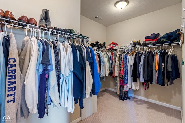 52 E 286th St, Atlanta, IN 46031 - walk in closet with carpet flooring and visible vents