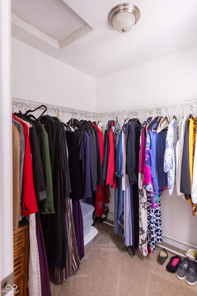 spacious closet featuring carpet