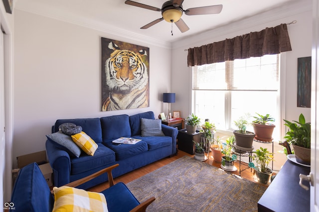 living room with ornamental molding, ceiling fan, and wood finished floors