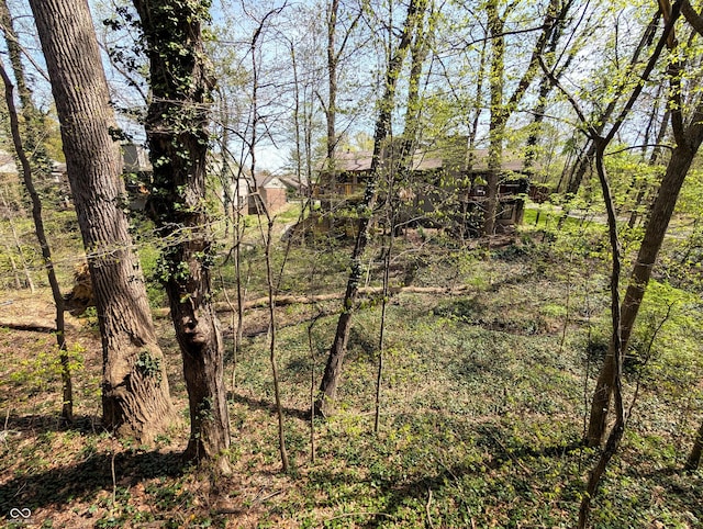 view of landscape