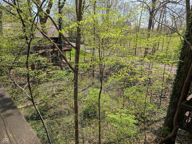 view of local wilderness featuring a view of trees