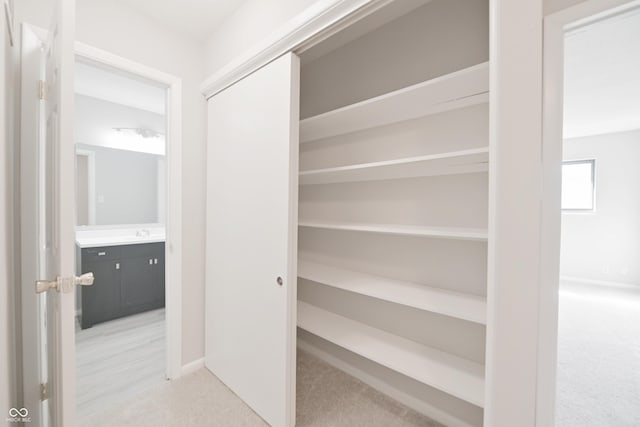 view of closet