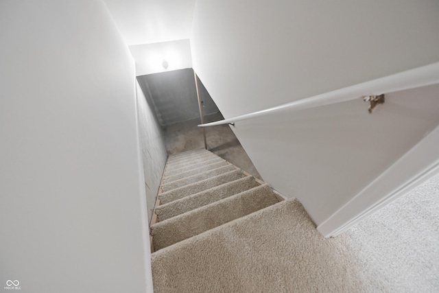 stairway featuring carpet flooring
