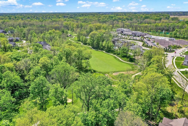 10725 Holliday Farms Blvd, Zionsville, IN 46077 - aerial view of property and surrounding area with a heavily wooded area and a golf club