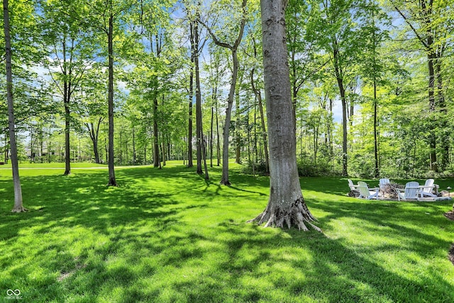 10725 Holliday Farms Blvd, Zionsville, IN 46077 - view of green lawn with a fire pit