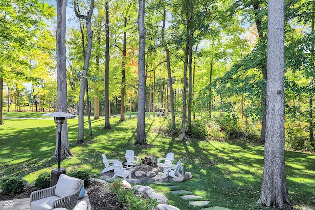 10725 Holliday Farms Blvd, Zionsville, IN 46077 - view of grassy yard with an outdoor fire pit