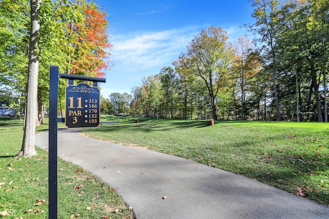10725 Holliday Farms Blvd, Zionsville, IN 46077 - view of home's community featuring a lawn and asphalt driveway