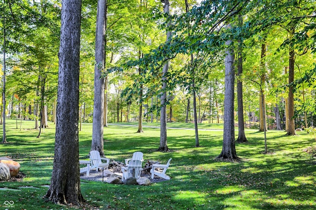 10725 Holliday Farms Blvd, Zionsville, IN 46077 - view of home's community with a yard and a fire pit