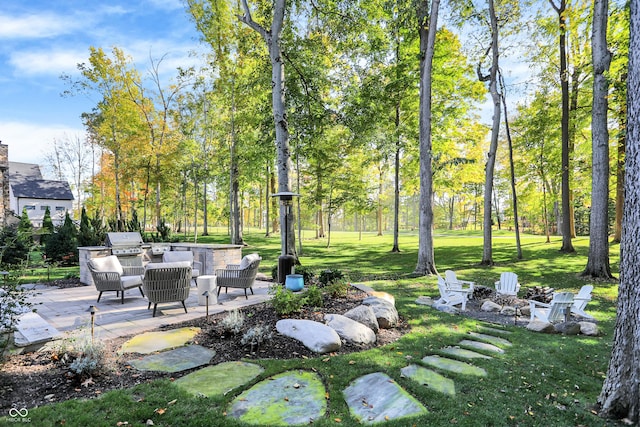 10725 Holliday Farms Blvd, Zionsville, IN 46077 - view of green lawn with an outdoor fire pit, exterior kitchen, and a patio
